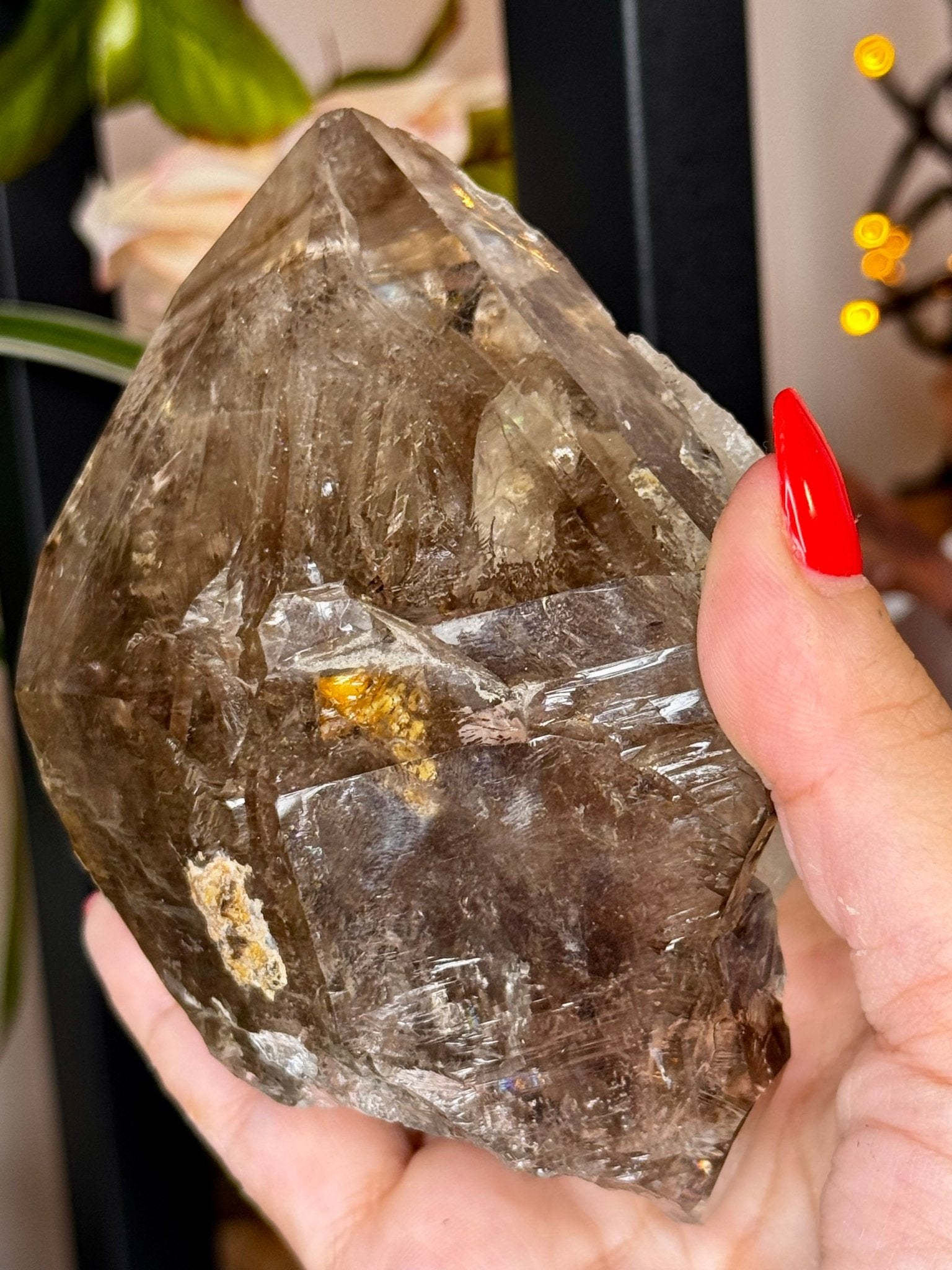Statment Piece ~ Elestial Smokey Quartz | 575g - The Crystal Valley