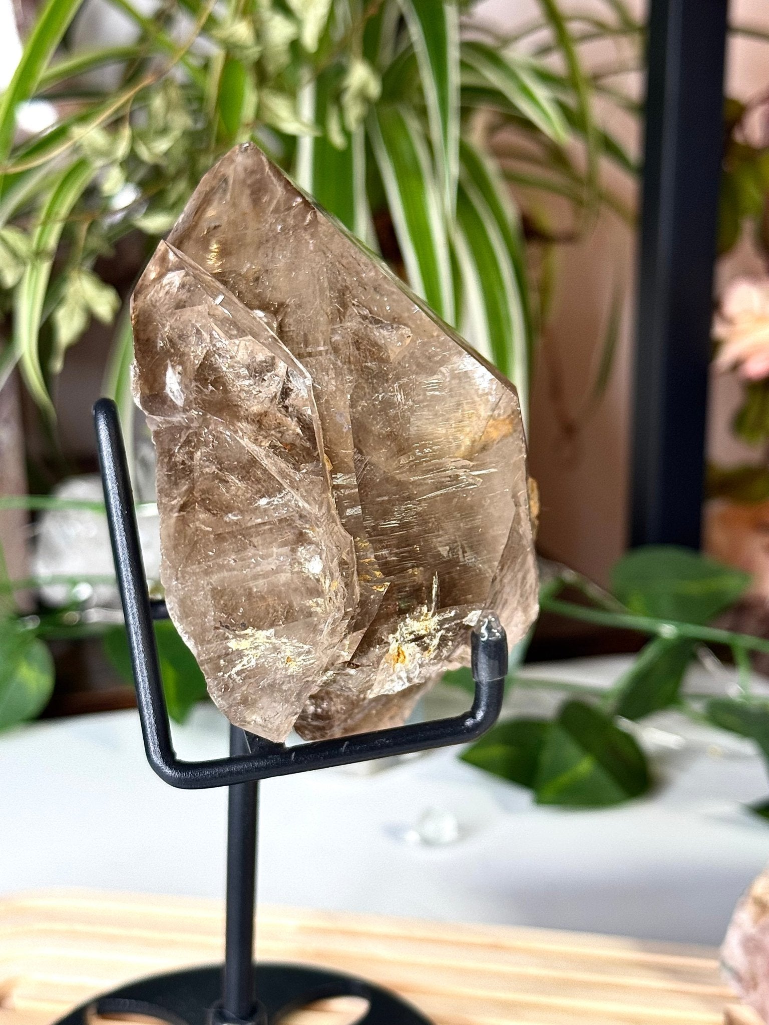 Statment Piece ~ Elestial Smokey Quartz | 575g - The Crystal Valley