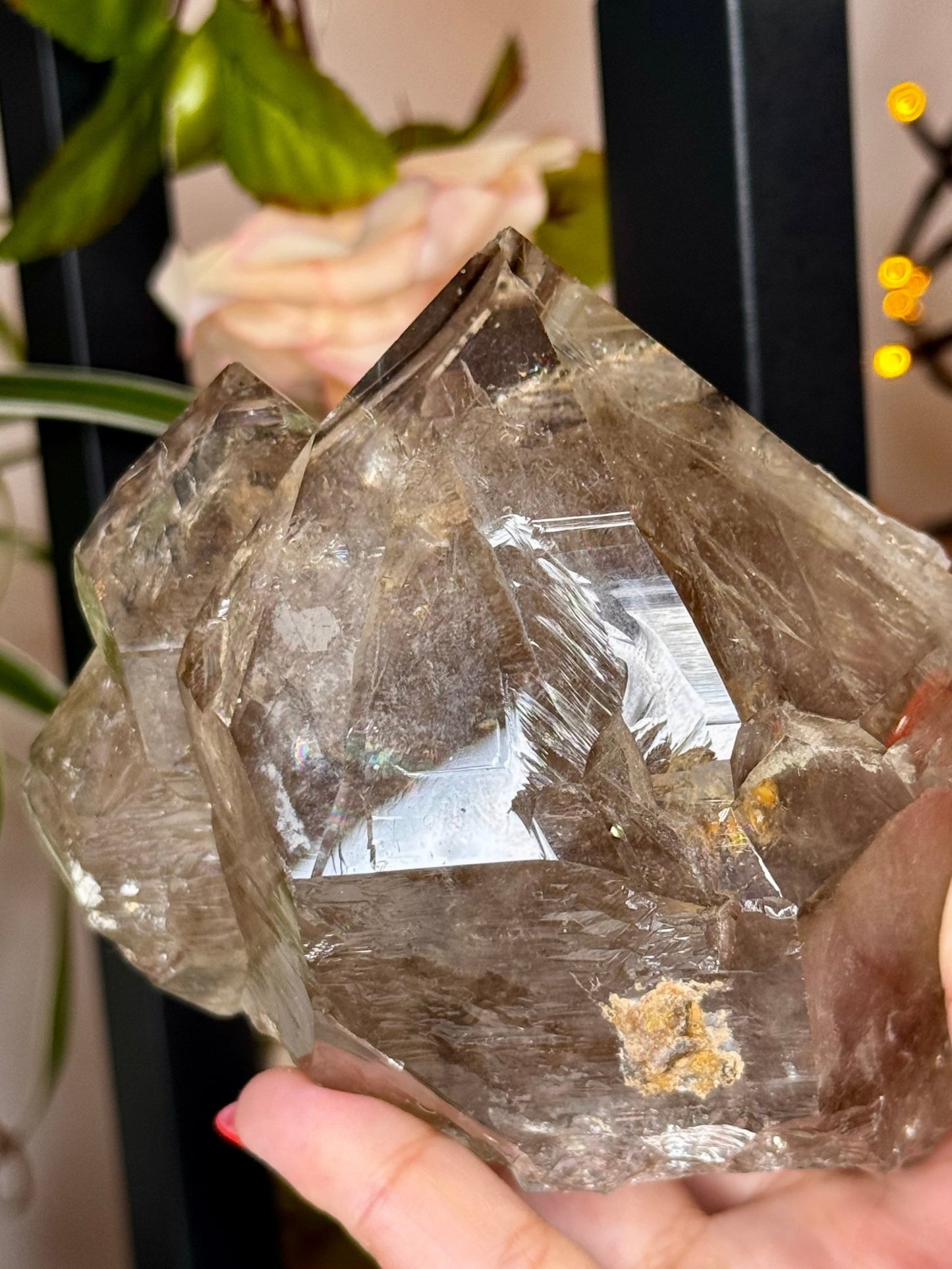 Statment Piece ~ Elestial Smokey Quartz | 575g - The Crystal Valley