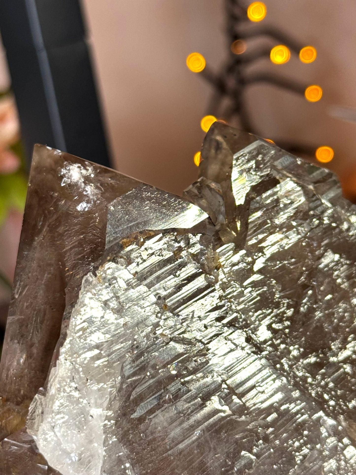 Statment Piece ~ Elestial Smokey Quartz | 575g - The Crystal Valley