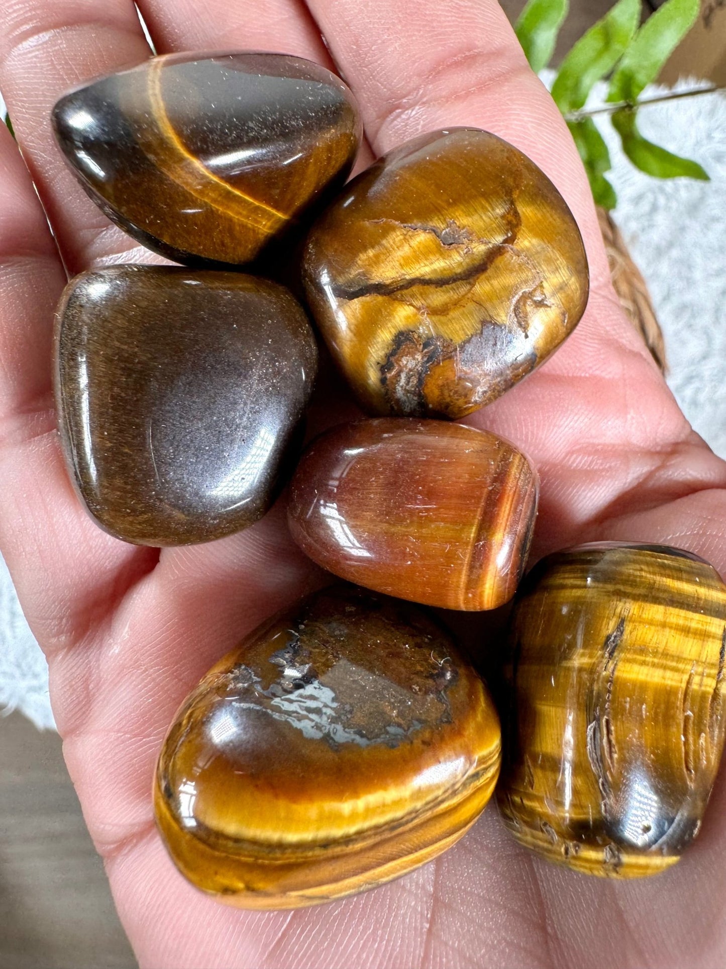 Tiger's eye Tumbles | Small / Medium sizes - Intuitively Chosen - The Crystal Valley