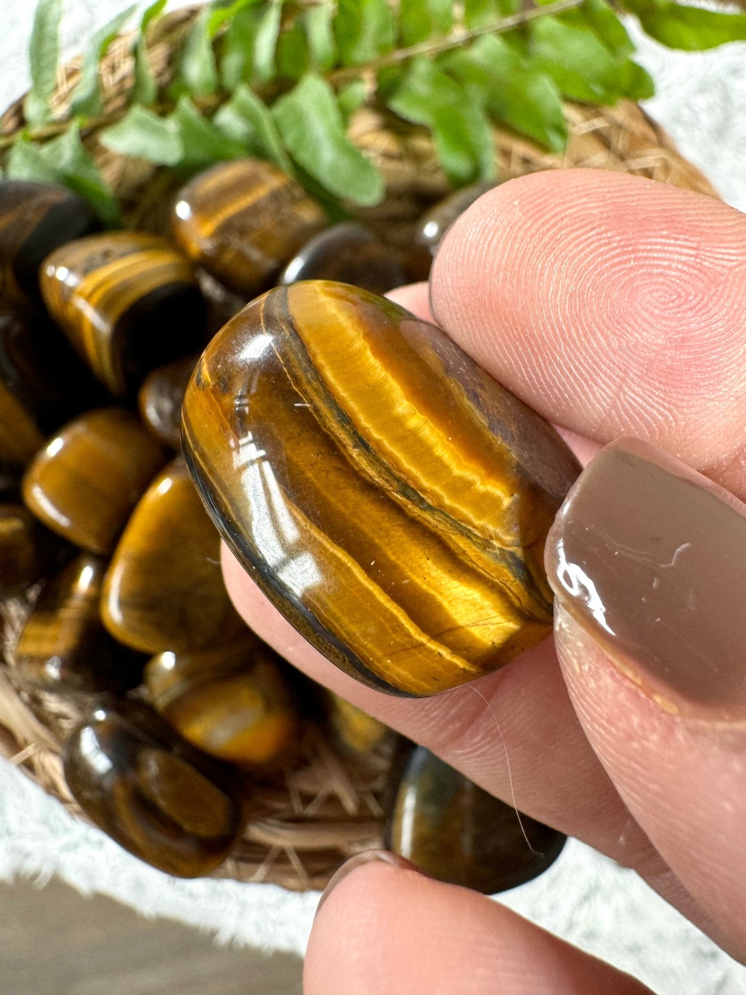 Tiger's eye Tumbles | Small / Medium sizes - Intuitively Chosen - The Crystal Valley