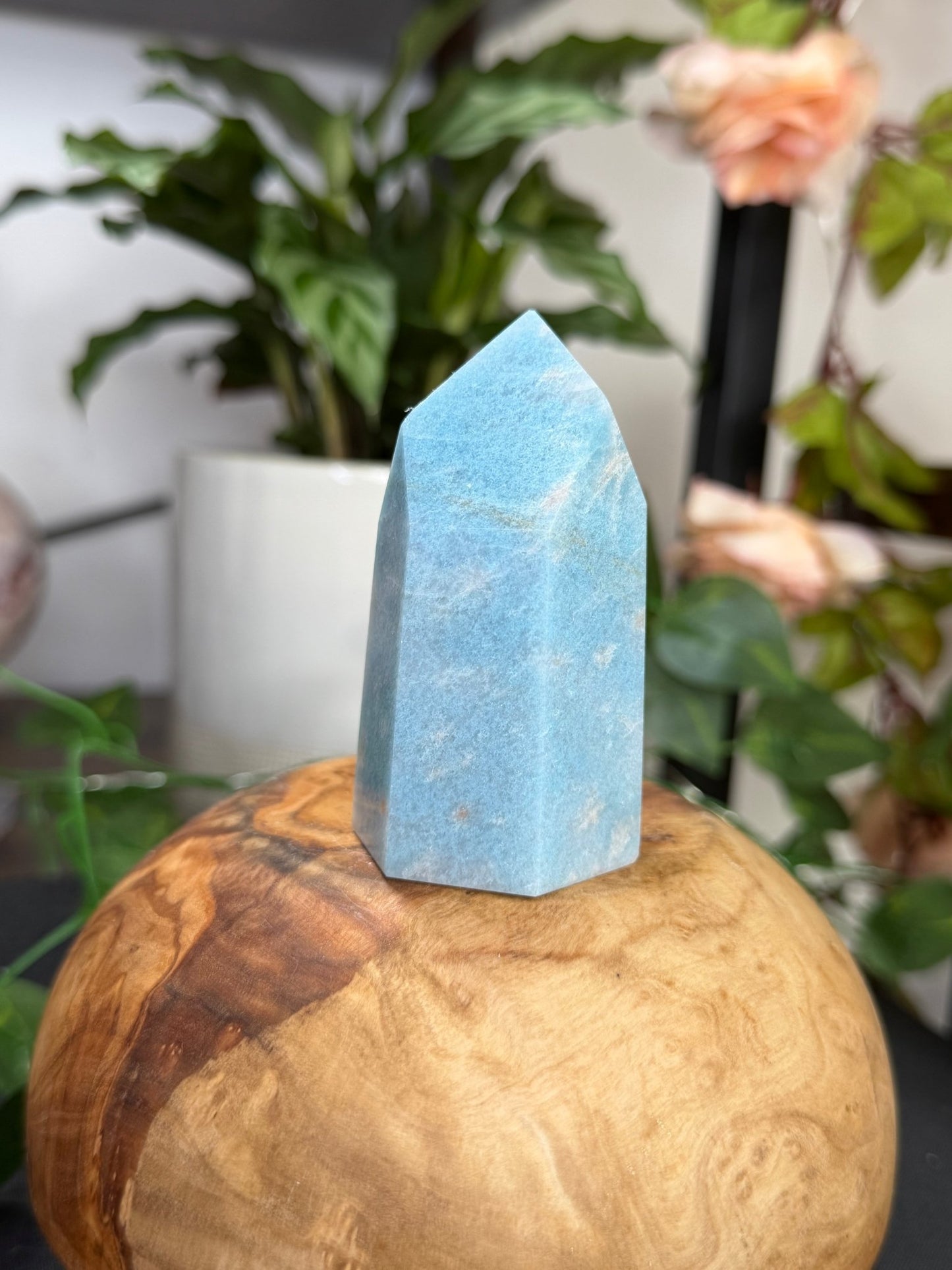 Trolleite Tower | 145g - The Crystal ValleyLemurian