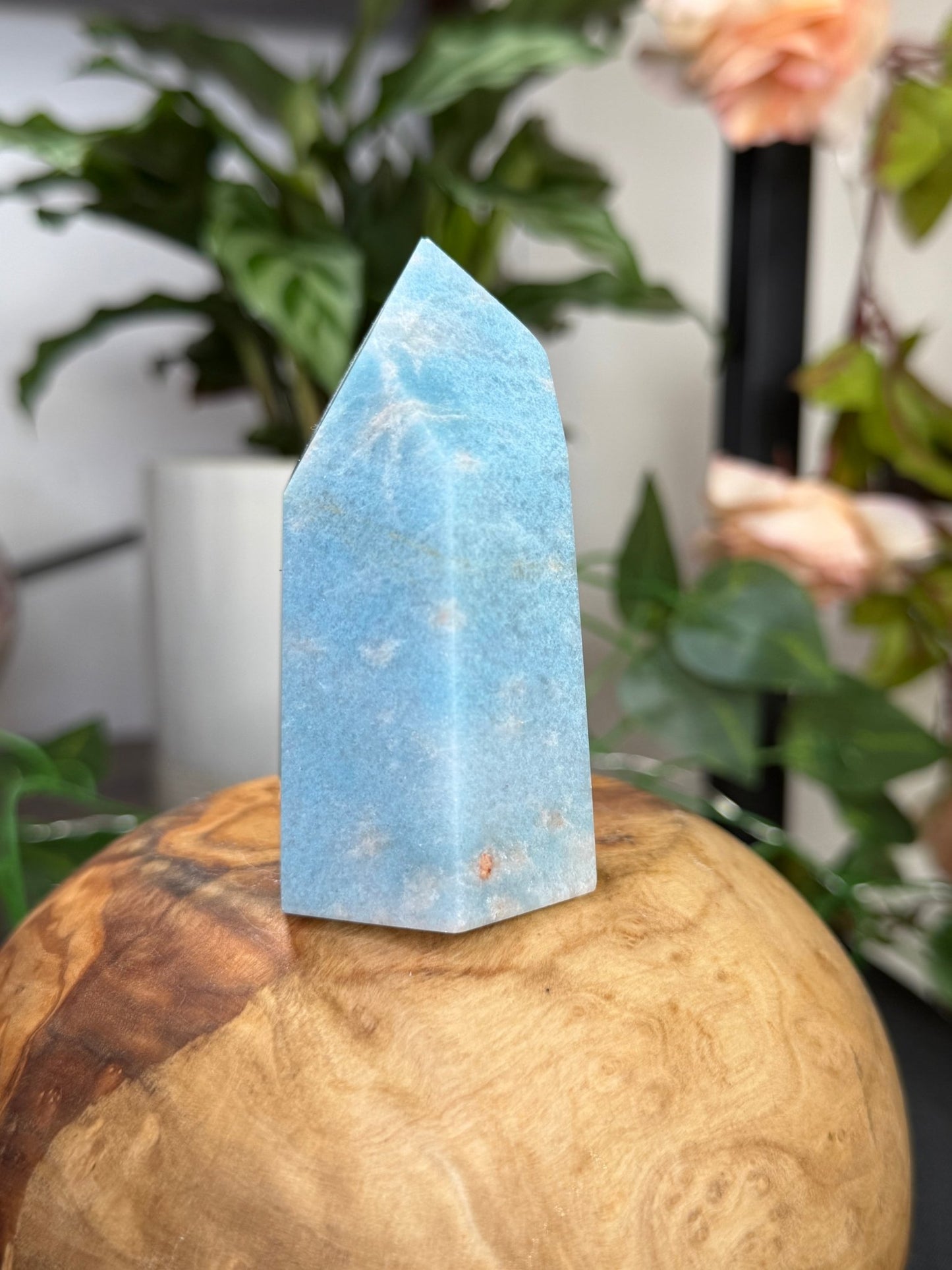 Trolleite Tower | 145g - The Crystal ValleyLemurian
