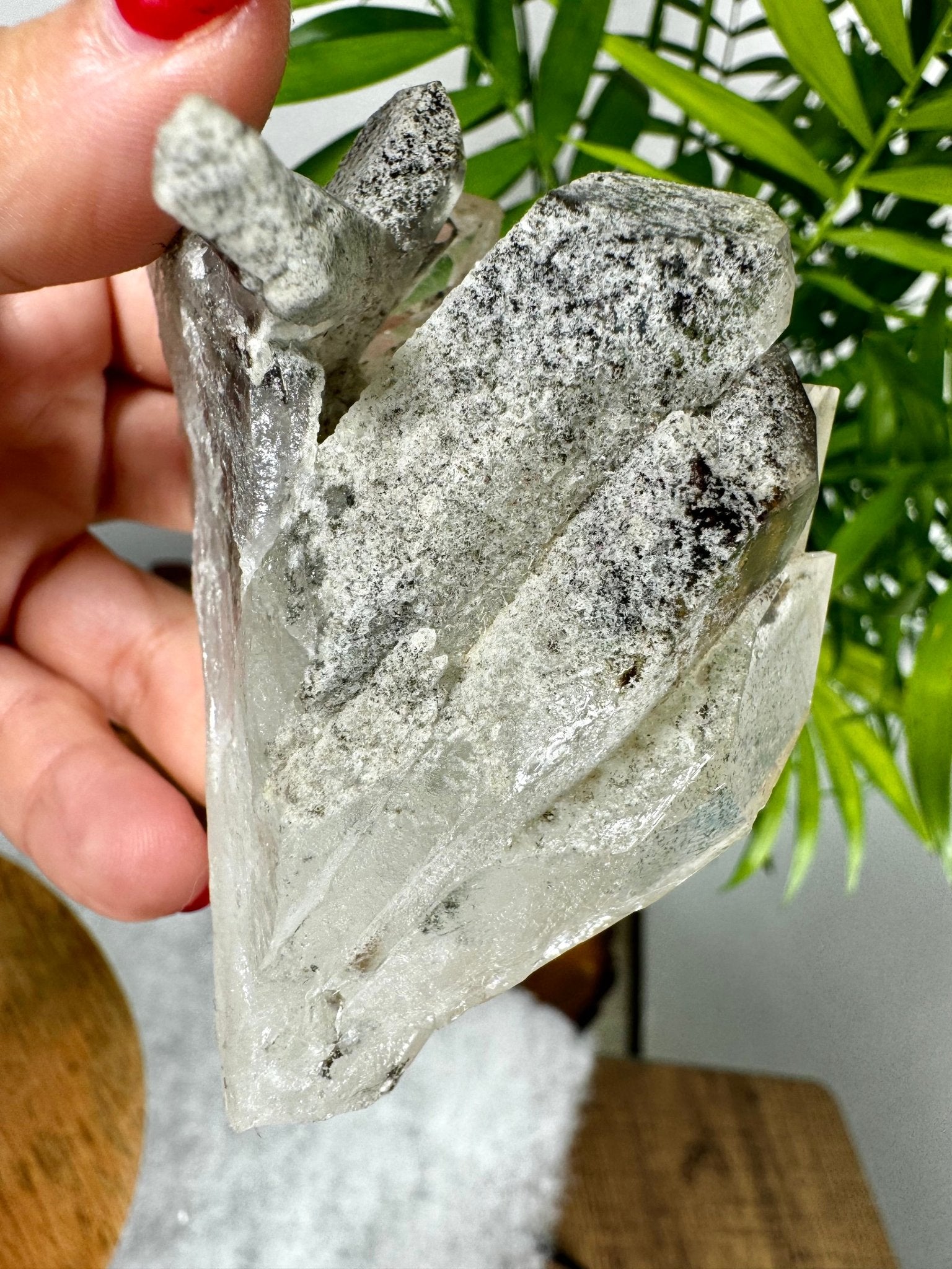 Unique Black Lodolite Cluster | 163g - The Crystal Valley