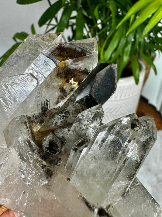 Unique Black Lodolite Cluster | 163g - The Crystal Valley