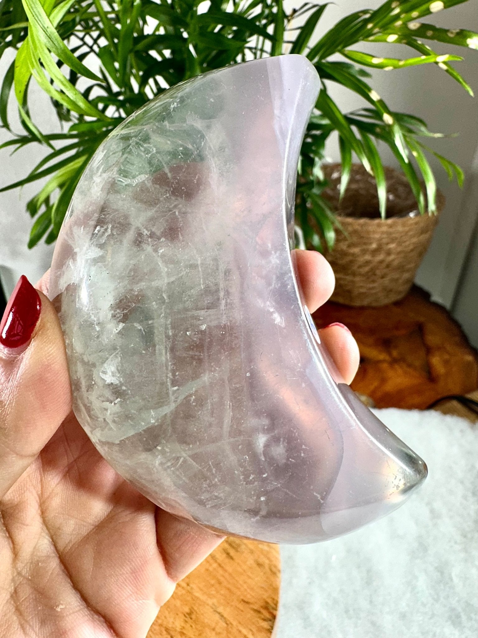 Ytrum Fluorite Moon Bowl | 194g - The Crystal Valley