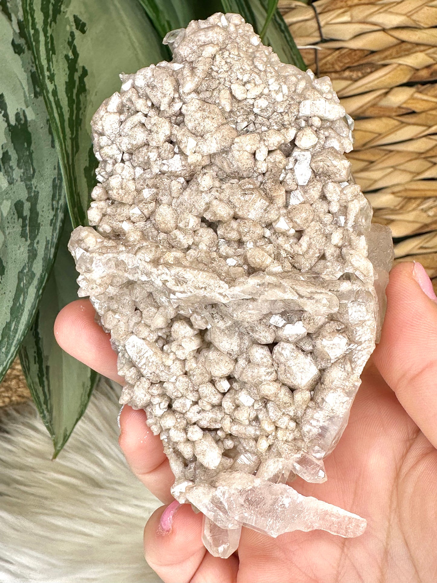 High Quality Clear Quartz Cluster - A MUST have