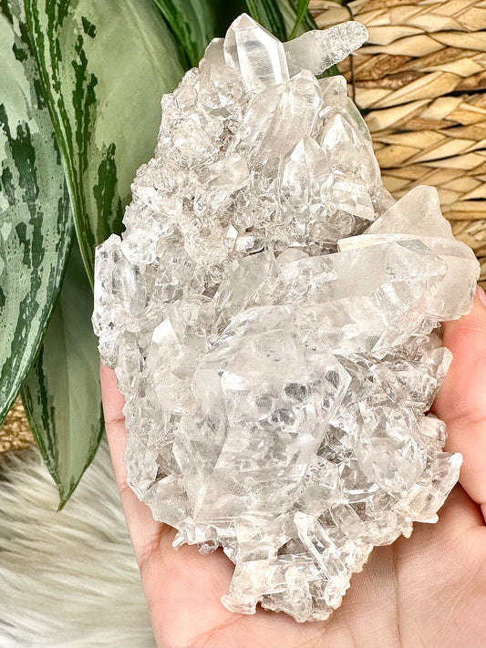 High Quality Clear Quartz Cluster - A MUST have