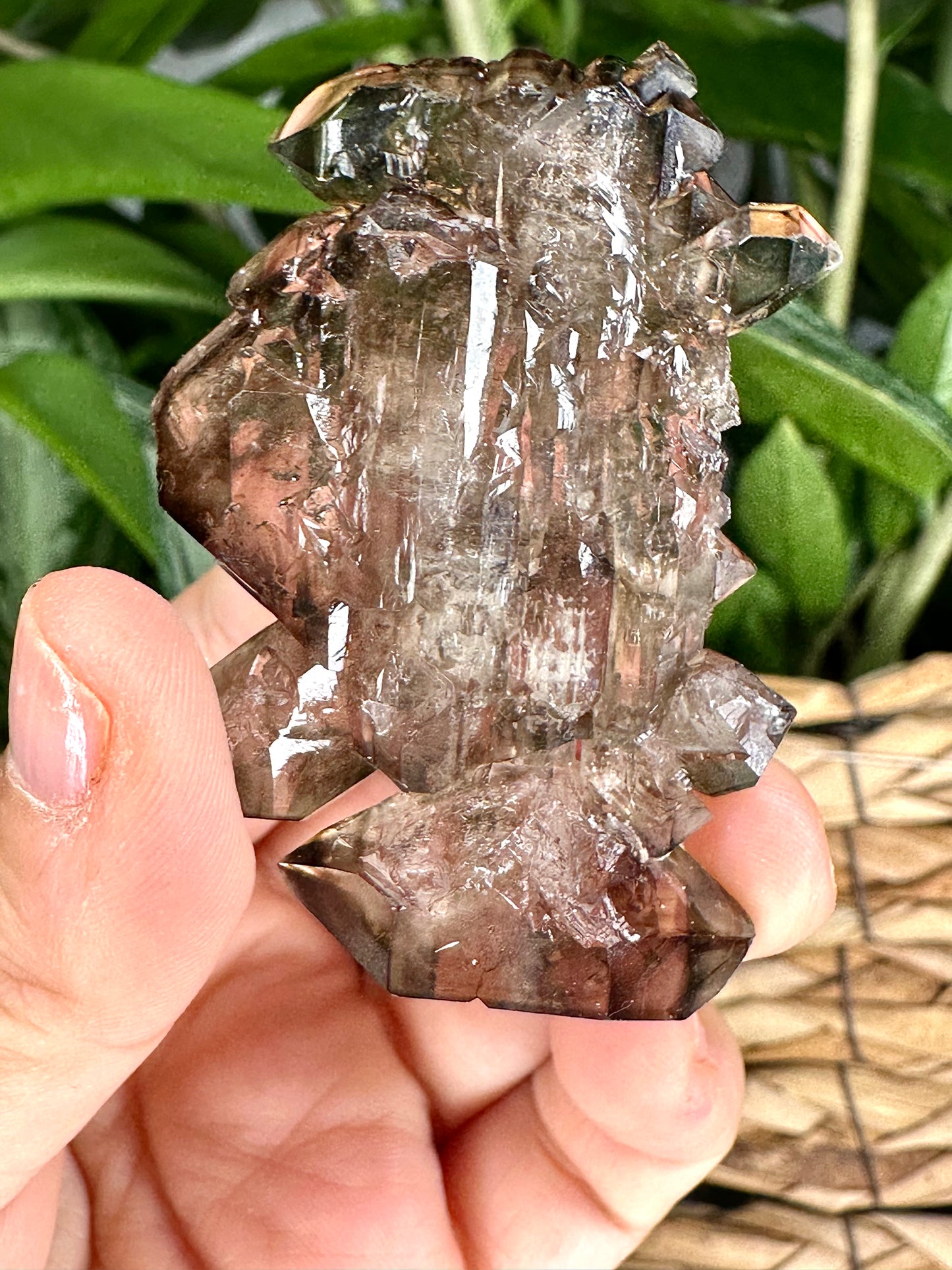 Small Tabular & Elestial Smokey Quartz