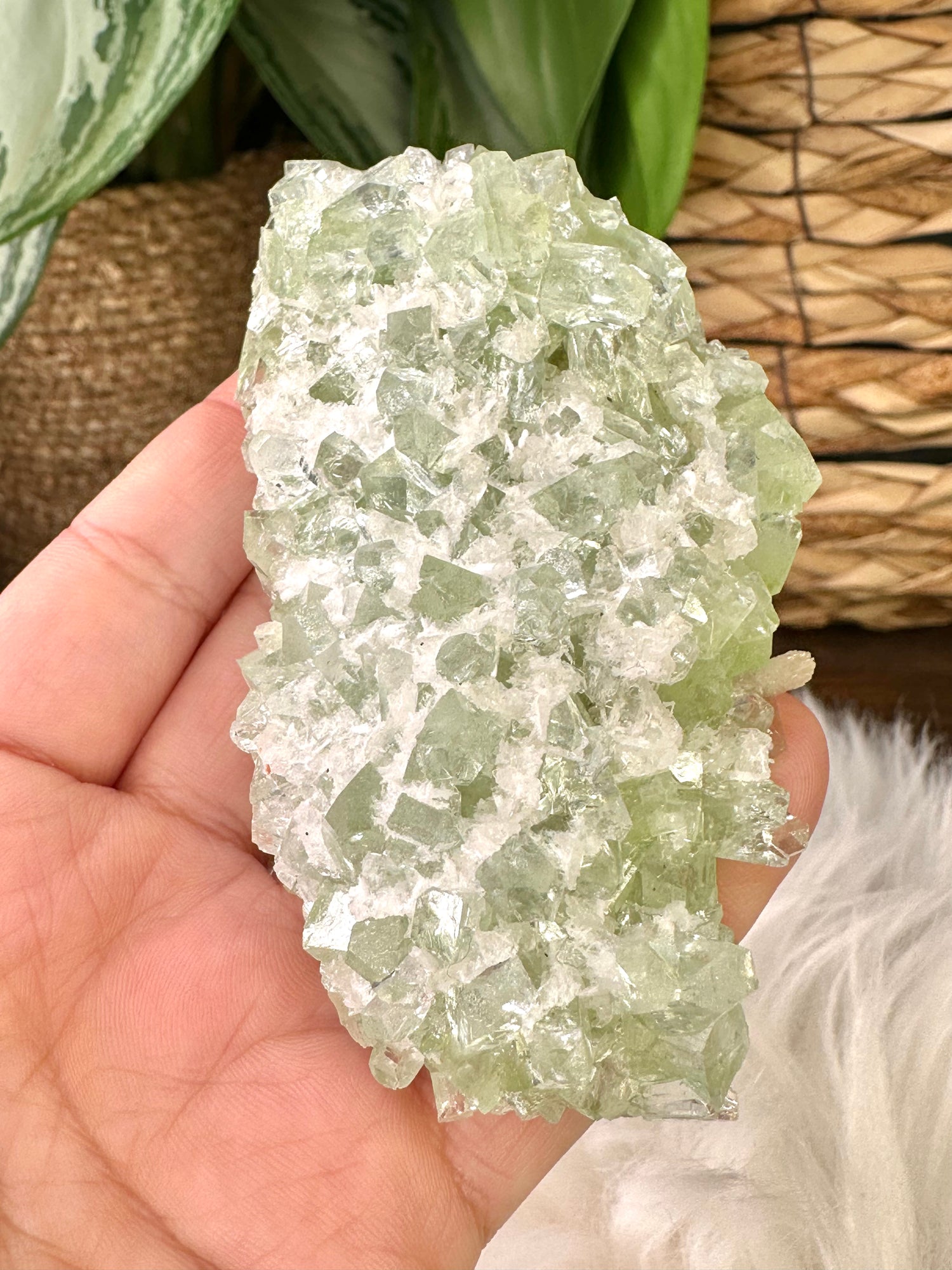 Apophyllite