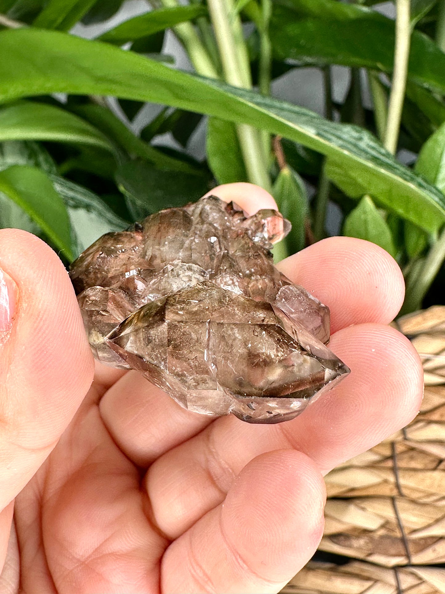 Small Tabular & Elestial Smokey Quartz