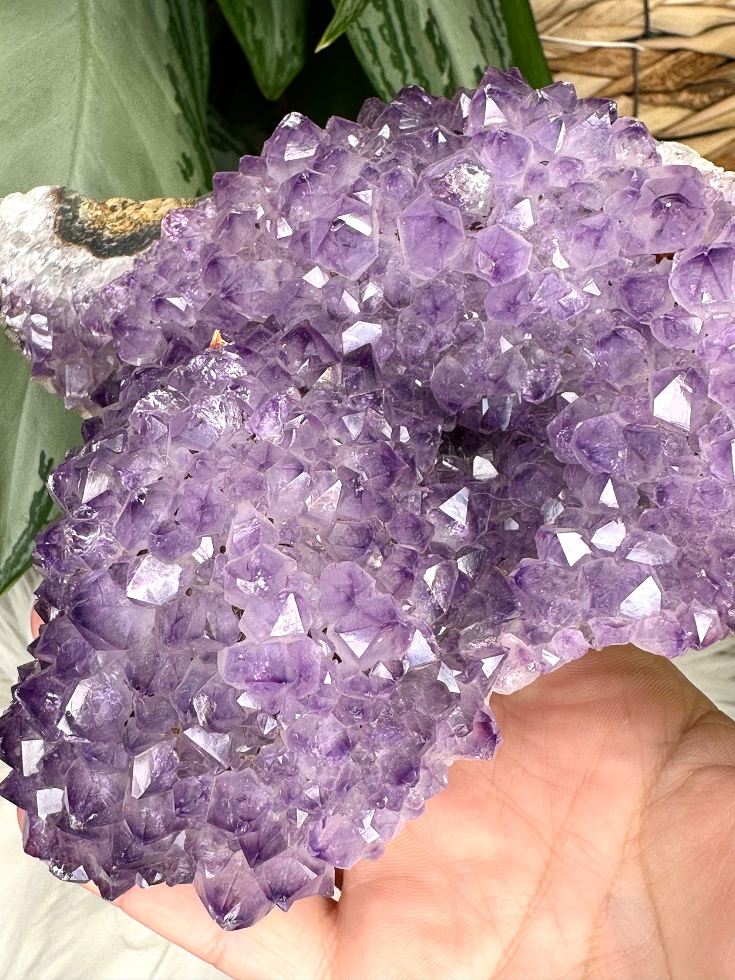 High Quality Amethyst Cluster from Uruguay | 726g