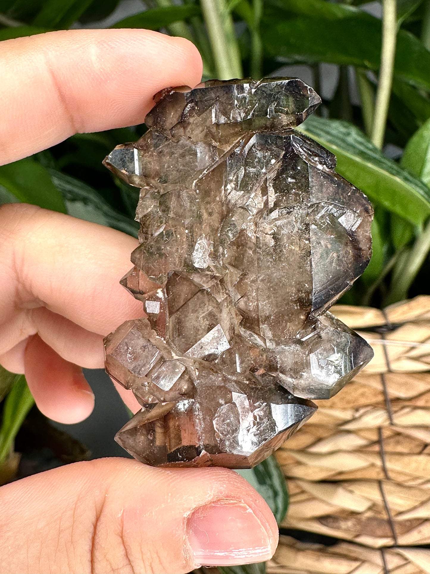 Small Tabular & Elestial Smokey Quartz