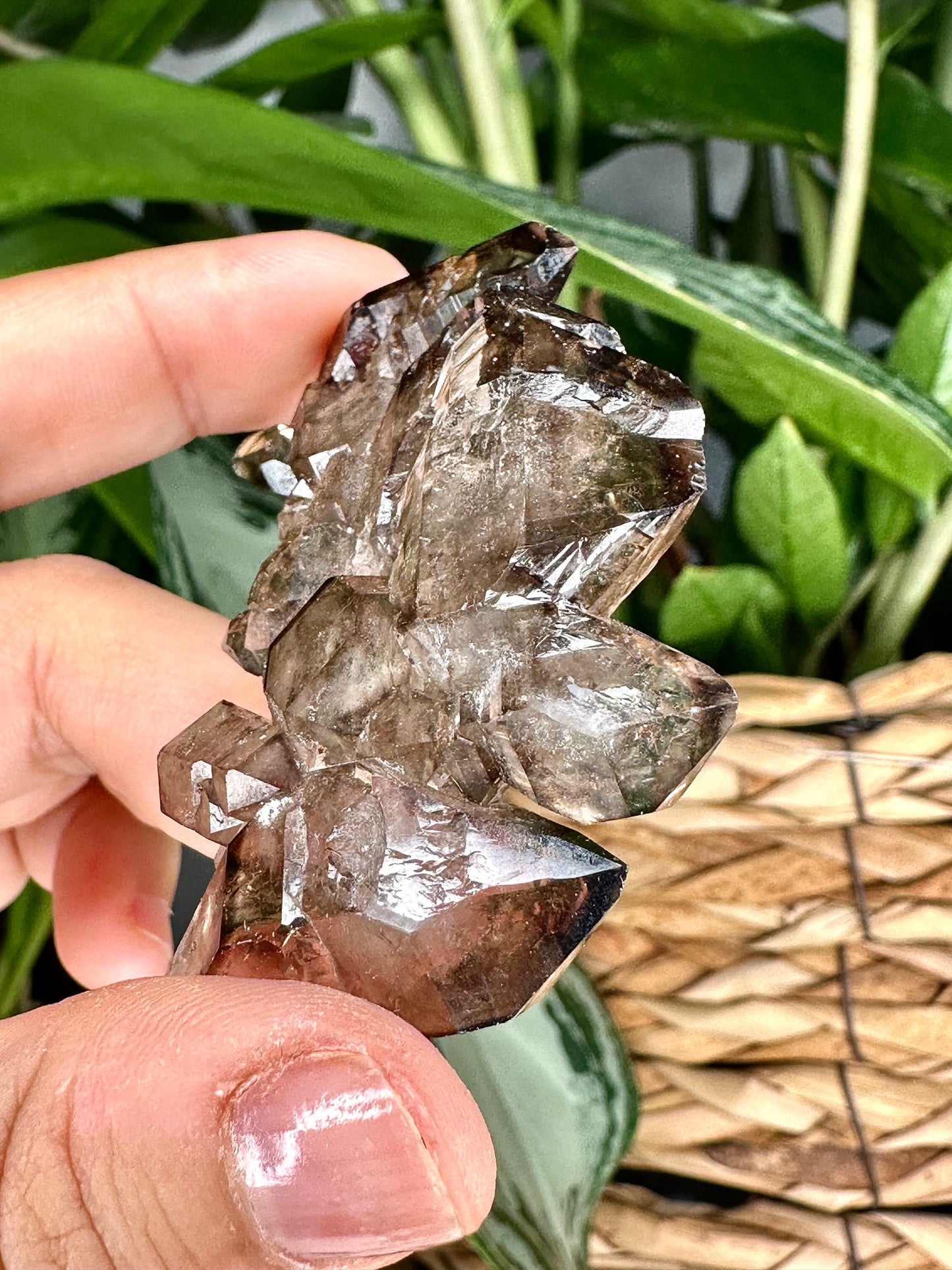 Small Tabular & Elestial Smokey Quartz