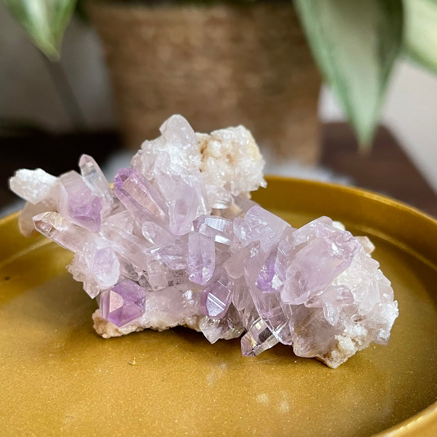 Vera Cruz Amethyst