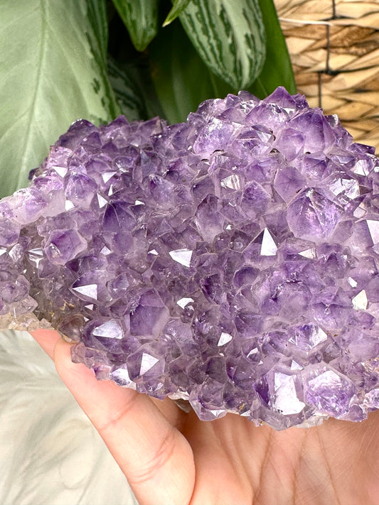 High Quality Amethyst Cluster from Uruguay