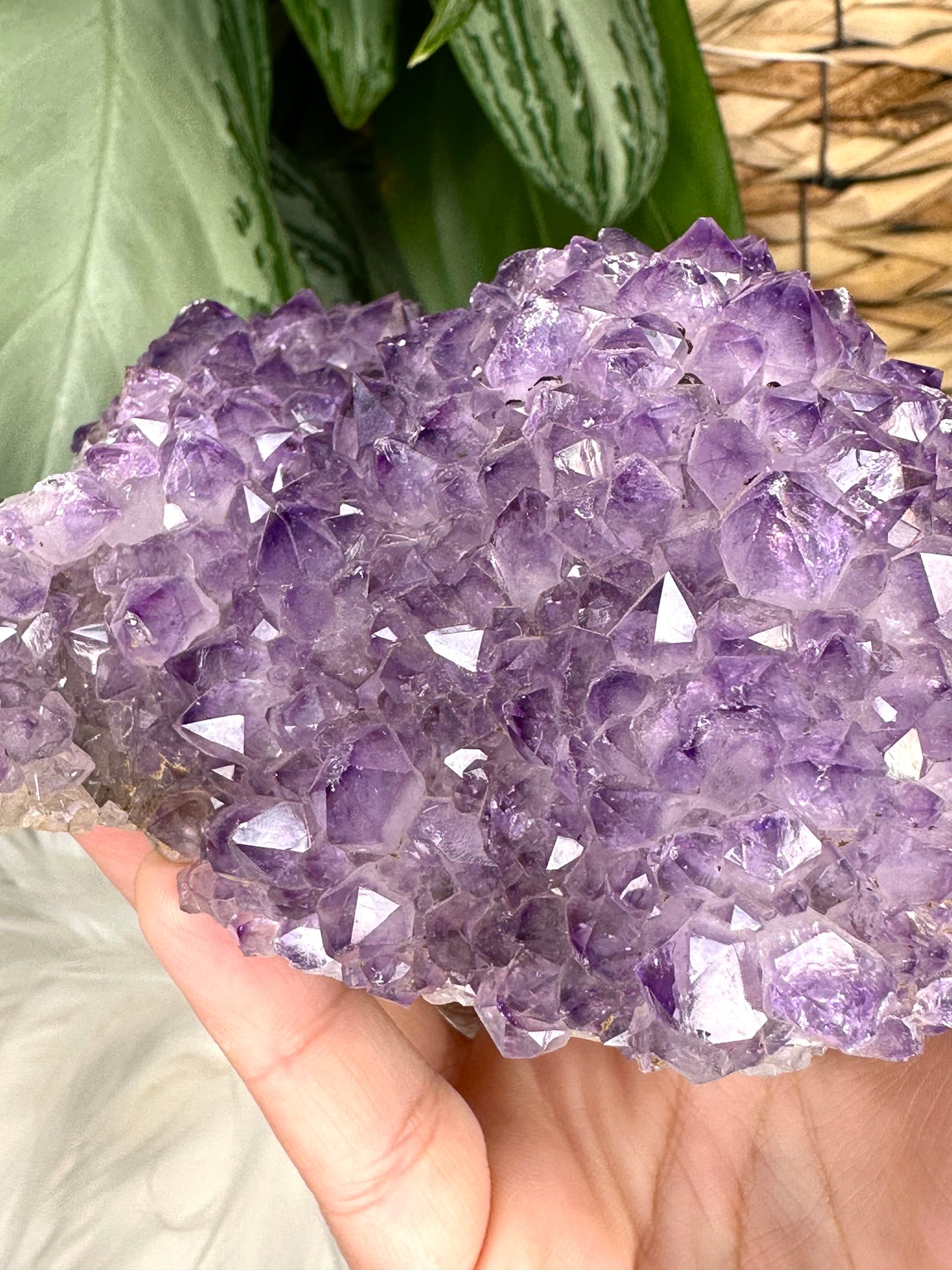 High Quality Amethyst Cluster from Uruguay | 726g