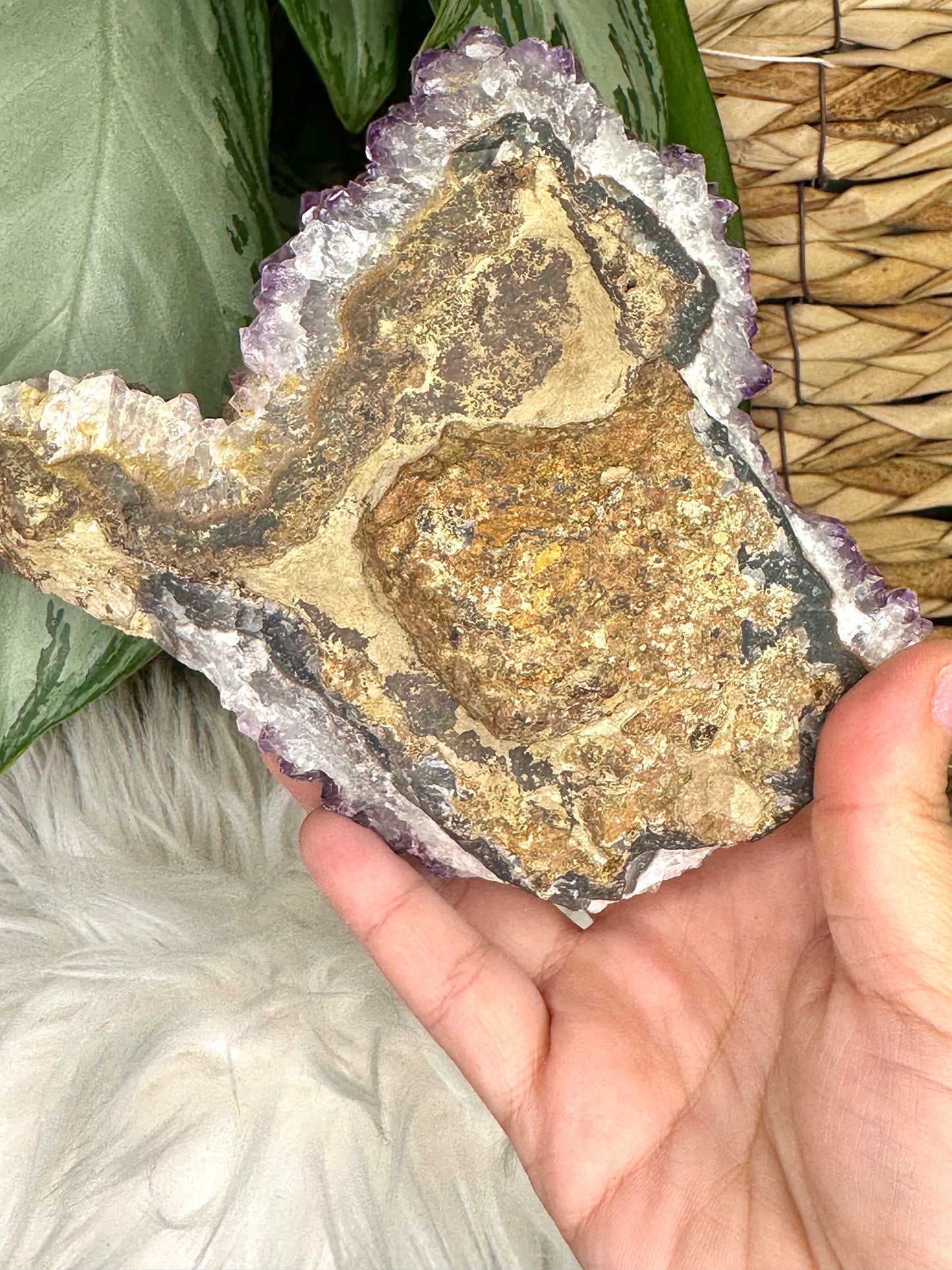 High Quality Amethyst Cluster from Uruguay | 726g