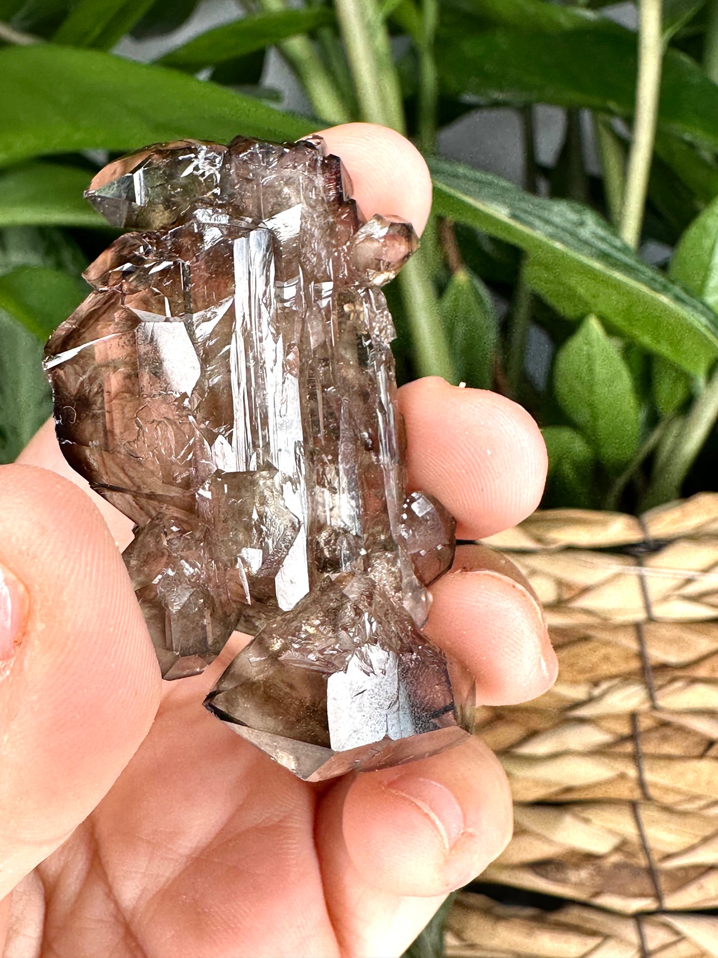 Small Tabular & Elestial Smokey Quartz