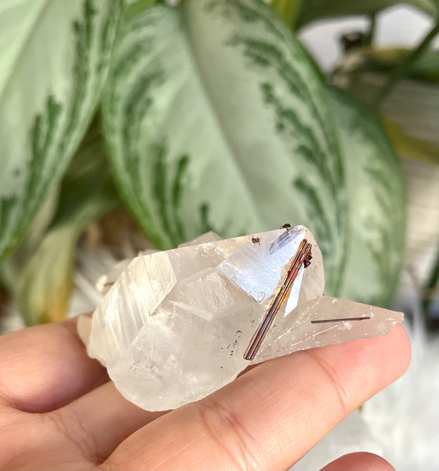 Clear Quartz Cluster Points with Copper Rutile